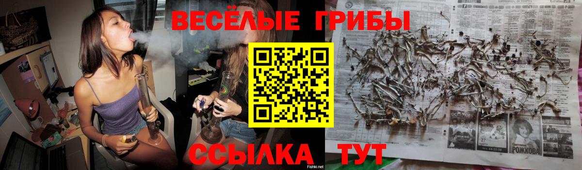 где найти   Псилоцибиновые грибы Psilocybe  Вход с VPN  Кинель 