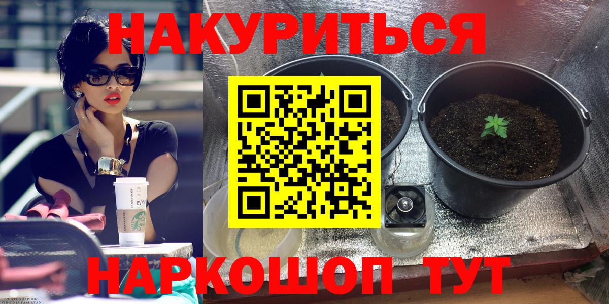 Марихуана гибрид  Бошки марихуана сатива  Кинель  Вход с VPN  Конопля MAZAR  Бошки Шишки OG Kush 